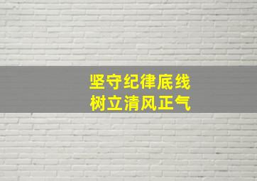 坚守纪律底线 树立清风正气